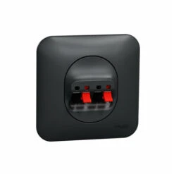 Schneider® Ovalis Prise Haut-parleur 2 Sorties- 4 Bornes à Vis Avec Plaque -Anthracite SCHNEIDER S460488