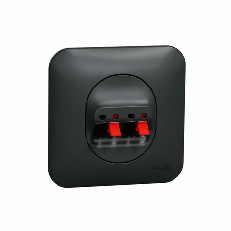 Schneider® Ovalis Prise Haut-parleur 2 Sorties- 4 Bornes à Vis Avec Plaque -Anthracite SCHNEIDER S460488 1 Schneider® Ovalis Prise Haut-parleur 2 Sorties- 4 Bornes à Vis Avec Plaque -Anthracite SCHNEIDER S460488