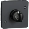 Schneider® Mureva Styl - Interrupteur à Clé 3 Positions - Composable - IP55 - IK08 - Gris - MUR35061