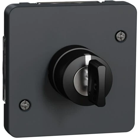 Schneider® Mureva Styl - Interrupteur à Clé 3 Positions - Composable - IP55 - IK08 - Gris - MUR35061 1 Schneider® Mureva Styl - Interrupteur à Clé 3 Positions - Composable - IP55 - IK08 - Gris - MUR35061