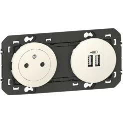 Prise De Courant 2P+T Surface Avec Prise 2 USB Type-A DOOXIE 3A Précâblés Finition Blanc - LEGRAND - 600342