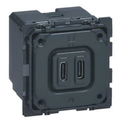 Chargeur Double USB CÉLIANE 15W Type-C 3A - LEGRAND - 067466