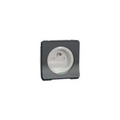 Schneider® Mureva Styl - Prise De Courant 2P+T à Vis - Composable - IP55 - IK0 - MUR38030