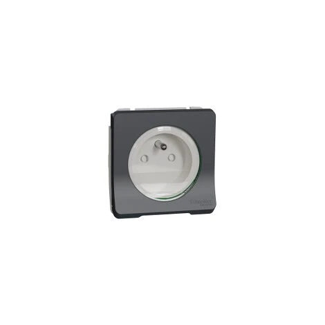 Schneider® Mureva Styl - Prise De Courant 2P+T à Vis - Composable - IP55 - IK0 - MUR38030 1 Schneider® Mureva Styl - Prise De Courant 2P+T à Vis - Composable - IP55 - IK0 - MUR38030