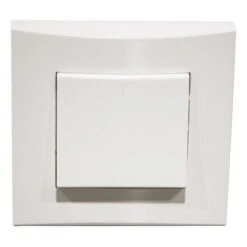 Inter Va Et Vient Blanc 10A 250V Encastré Connexion Auto Fixation Vis Complet Avec Plaque De Finition ALTERNATIVE ELEC AE52001-P